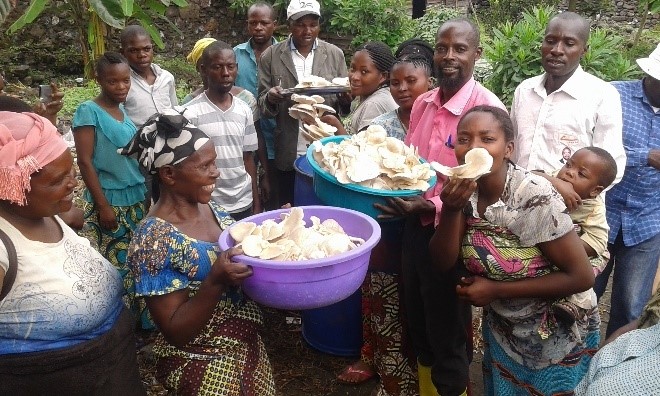 Goma : Le CRADD mise sur la myciculture pour renforcer l'autonomisation des communautés en 2022