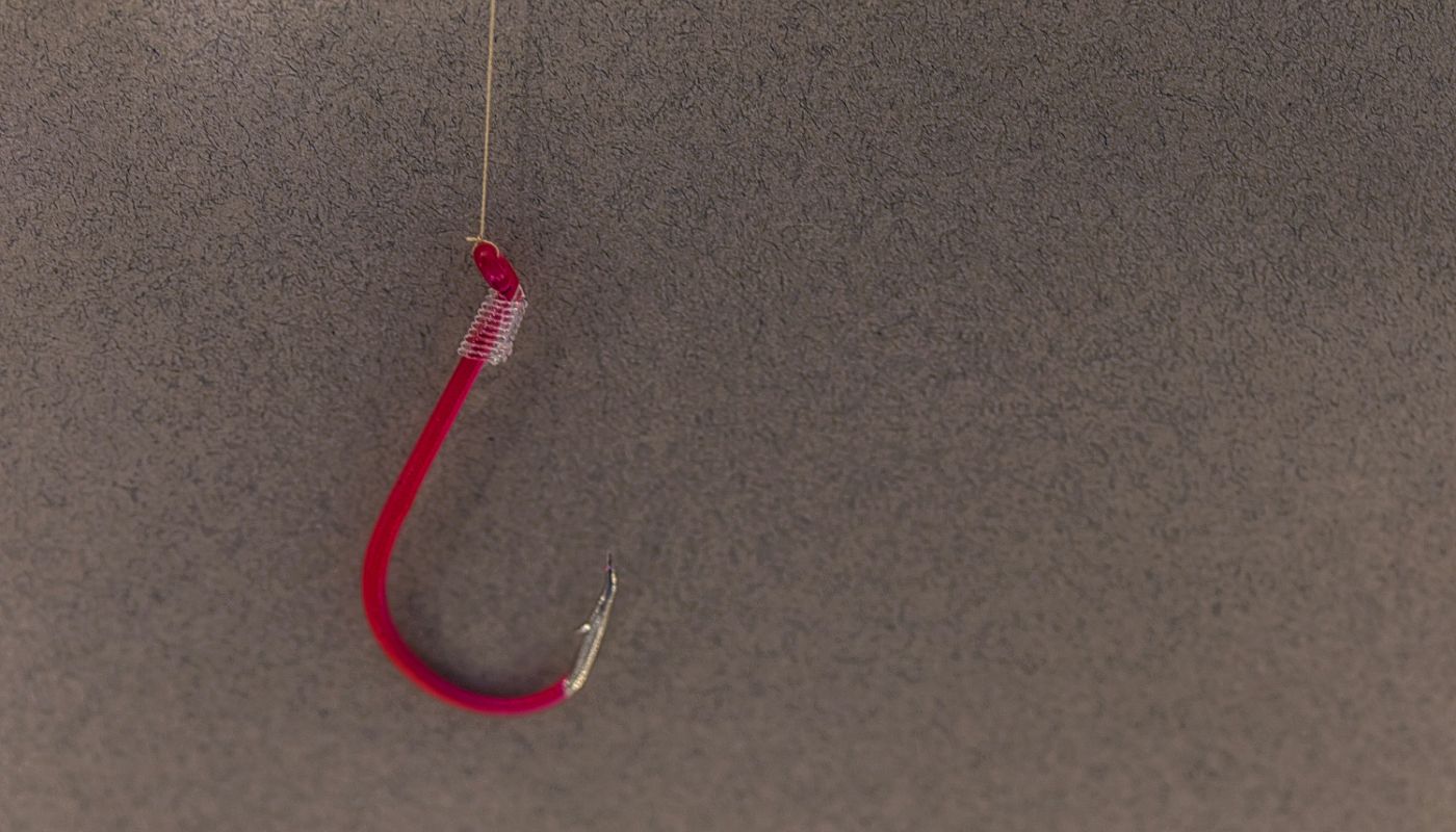 फिसिङ (Phishing) भनेको के हो?