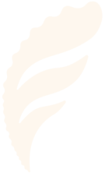 Fremantle Seaweed Pty Ltd Logo