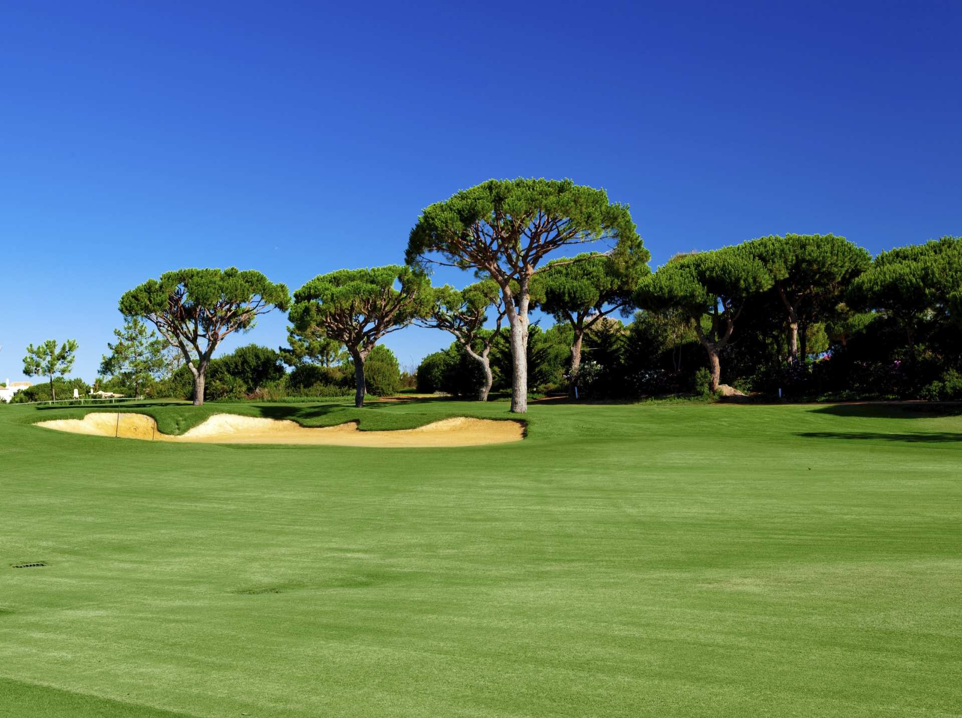 birdease-event-software