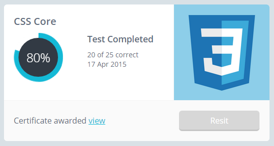 My SitTheTest CSS results - 80%