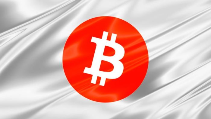 Япония лидирует по объему торгов Биткойном