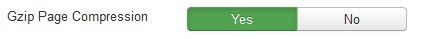برای بالا بردن سرعت سایت باید این گزینه را فعال کنید g-zip