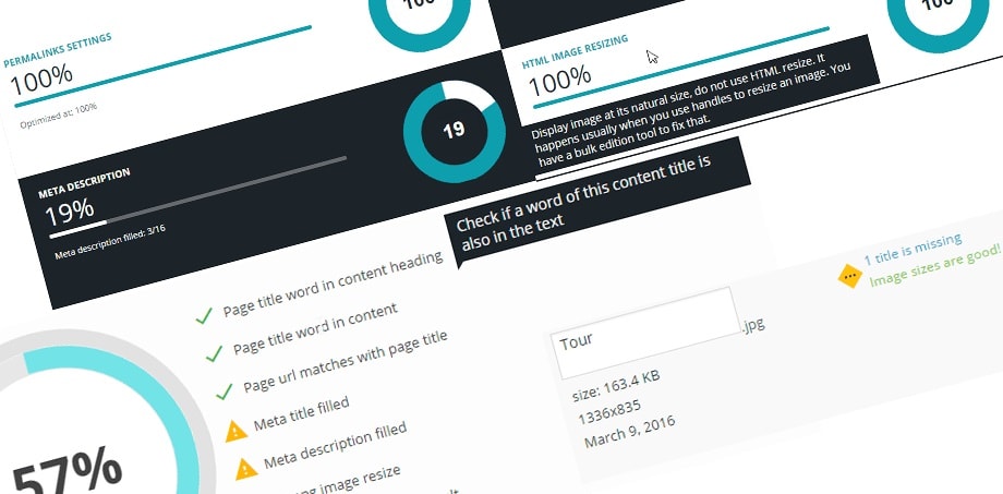 افزونه کمکی سئو وردپرس بررسی کیفیت سئوی سایت