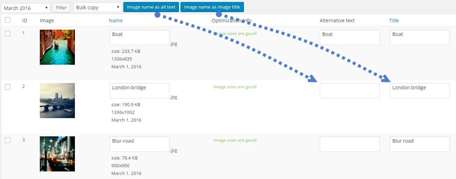 متن جایگزین تصاویر در سئو متن جایگزین تصاویر در سئو