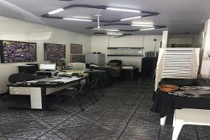 Loja de Aluguel de Materiais para Festas