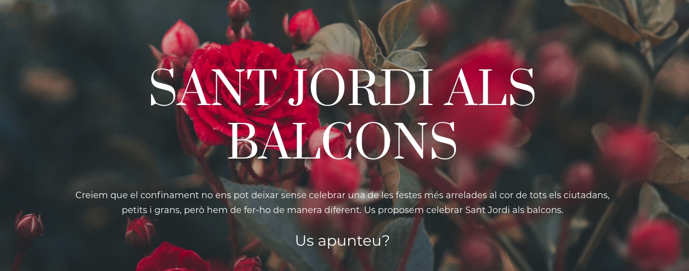 Sant Jordi at home