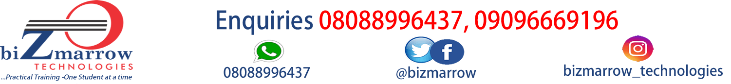 BIZMARROW TECHNOLOGIES -WEBSITE-LOGO