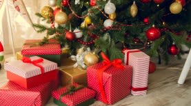 חג המולד כריסמס כריסטמס עץ אשוח 