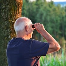 תשואת קרנות הפנסיה