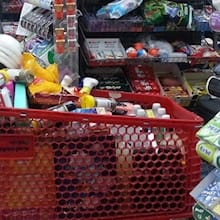 קניות - צילום: תמר מצפי קניות