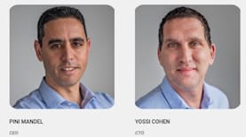 קוויקליזארד