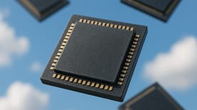 שבבים; קרדיט: רוי שיינמן