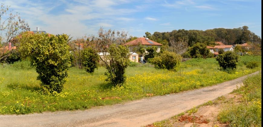 שיווק המגרשים של רמ"י,האם הפעם זה יצליח? קרדיט:רשתות חברתיות שיווק המגרשים של רמ"י,האם הפעם זה יצליח? קרדיט:רשתות חברתיות
