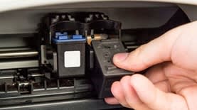 צילום: קאנבה