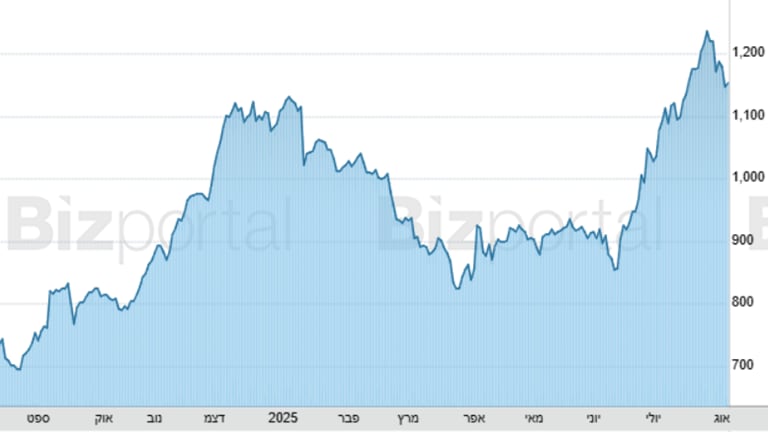 מניית החברה
