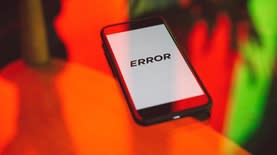 באג במחשב. צילום: Polina Zimmerman, Pexels