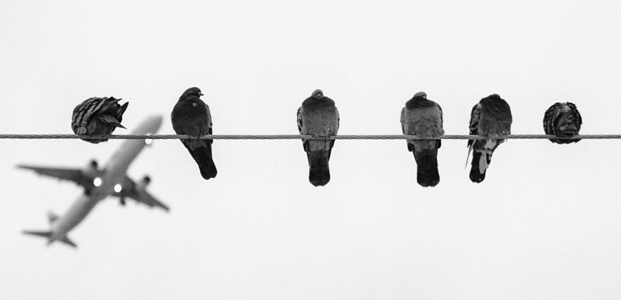 צילום: Pixabay, Pexels צילום: Pixabay, Pexels