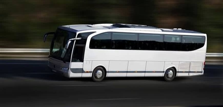 צילום: https://www.top-bus.co.il/ צילום: https://www.top-bus.co.il/