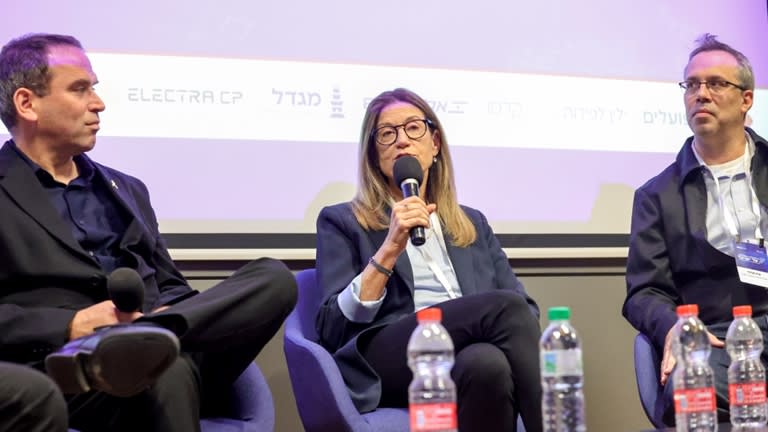 פאנל השקעות: מגדלי, הראל ופרידמן
 (קרדיט: שלומי יוסף)