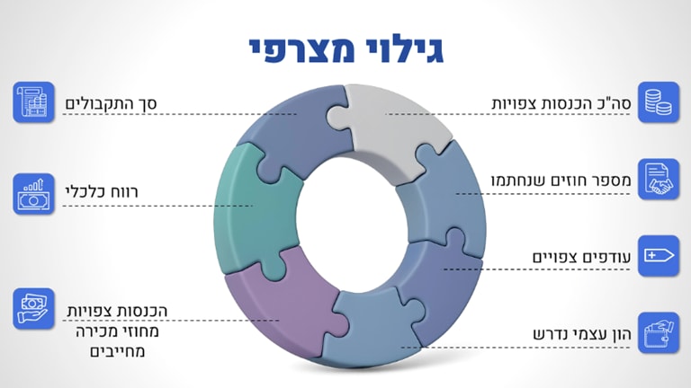 מהמצגת ע״י פרידה עבאס יוסף