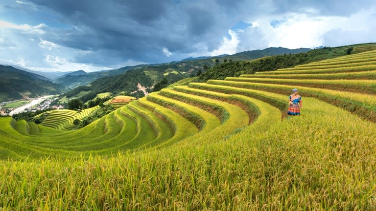 צילום: Quang Nguyen Vinh, Pexels