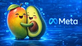 אילוסטרציה למודלים החדשים של מטא. קרדיט: רשתות חברתיות