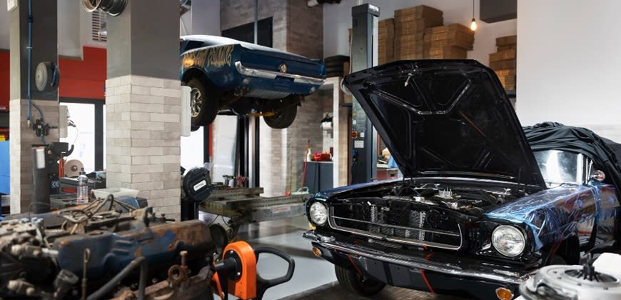 צילום: Freepik צילום: Freepik