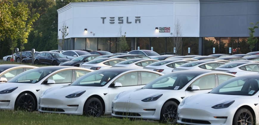 מגרש מסירות טסלה. קרדיט: רשתות חברתיות