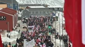 הפגנות בגרינלנד, צילום: רשתות