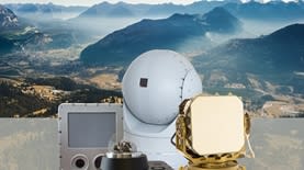 Bird. קרדיט: יחצ