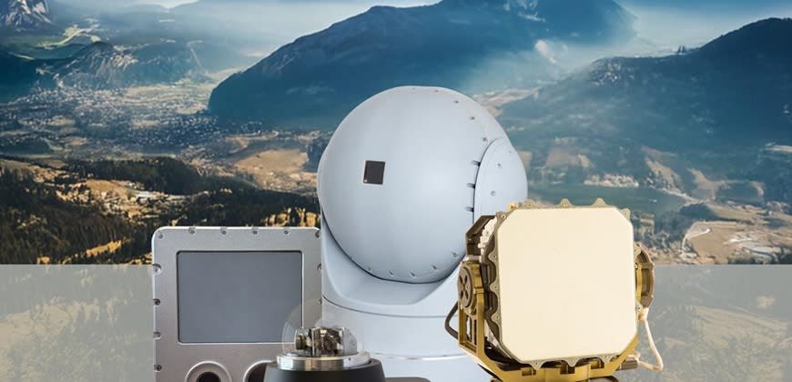 Bird. קרדיט: יחצ