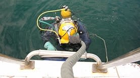 צוללן צילום: By CmrA - Own work, CC BY-SA 3.0, https://commons.wikimedia.org/w/index.php?curid=85383