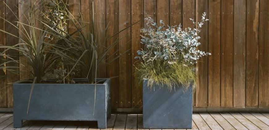 צילום: Pexels צילום: Pexels