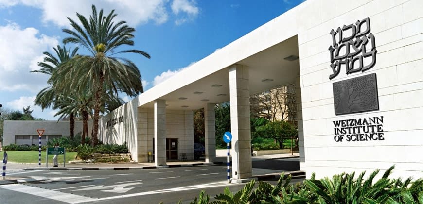 מכון ויצמן ברחובות צילום: ויקיפדיה מכון ויצמן ברחובות צילום: ויקיפדיה