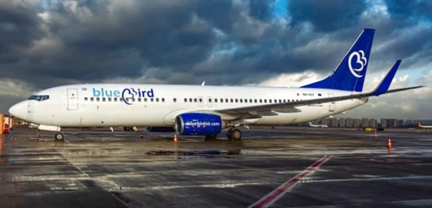 בלו בירד טענה שהפיזור יקשה עליה להתגונן בלו בירד טענה שהפיזור יקשה עליה להתגונן