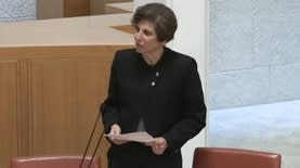 הגבלים עסקיים