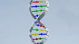 DNA (גרוק) DNA (גרוק)