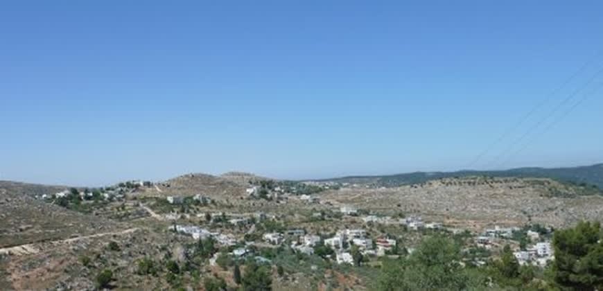 הכפר וולג'ה (צילום: שי חלצי, ויקיפדיה) הכפר וולג'ה (צילום: שי חלצי, ויקיפדיה)