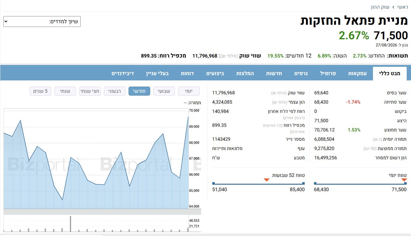 מניית פתאל החזקות - מבט כללי