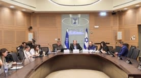 הוועדה המשותפת לוועדות החוקה והכלכלה (צילום: דני שם-טוב, דוברות הכנסת)