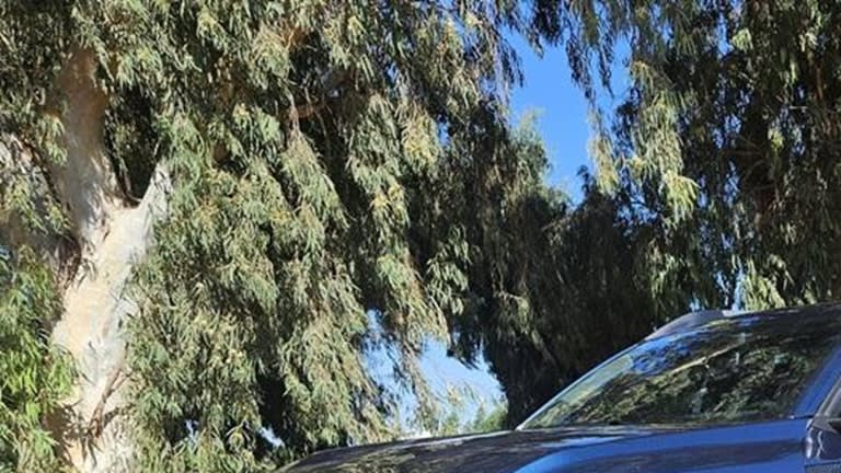 דאצ'יה ביגסטר היברידית (יואב פולס)