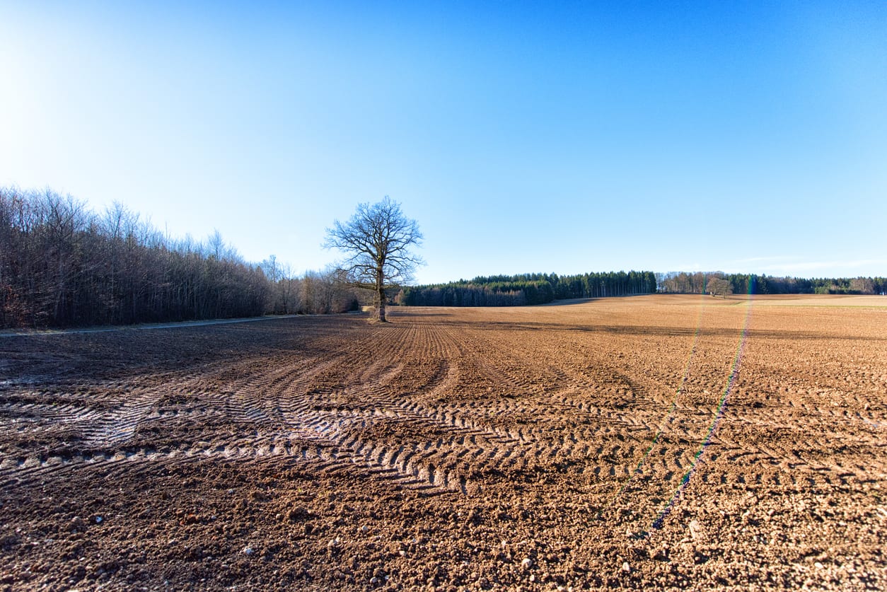 Quinco jumps by 30 the company's land for sale is estimated at 135