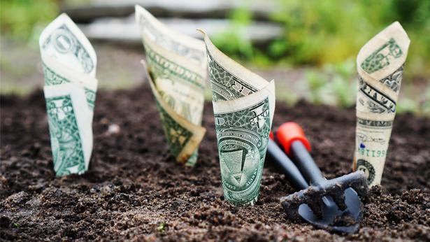 Growth, Photo: Pixabay Growth, Photo: Pixabay