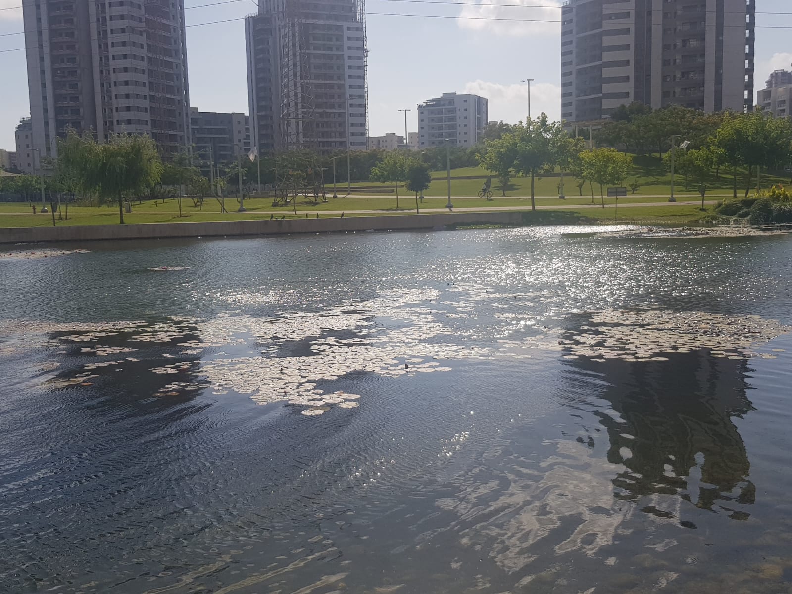אקו פארק חדרה צילום: איציק יצחקי