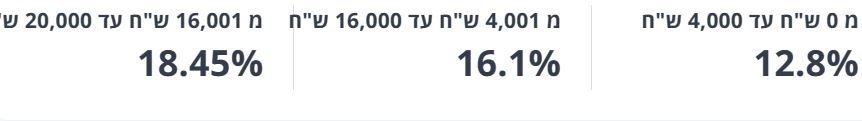 ריבית על מסגרת בנק מזרחי