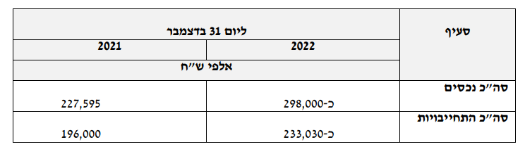 נכסים והתחייבויות של סינרגי