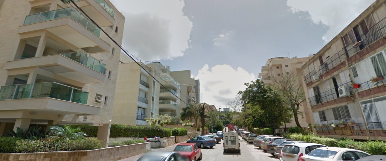 שכונת דוד רמז רעננה. צילום מסך: גוגל מאפ
