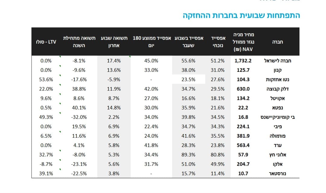 טבלת המצב של חברות ההחזקות. מקור: IBI