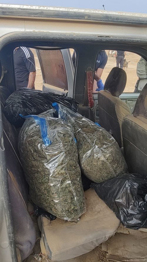 תפיסת הסמים בשווי 250 אלף שקל צילום דוברות המשטרה